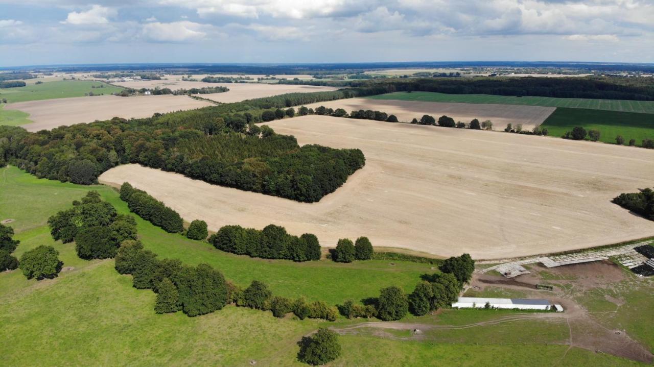 Peenehof Koeppen - Ferienwohnungen & Schlaffaesser Jordenstorf Екстер'єр фото